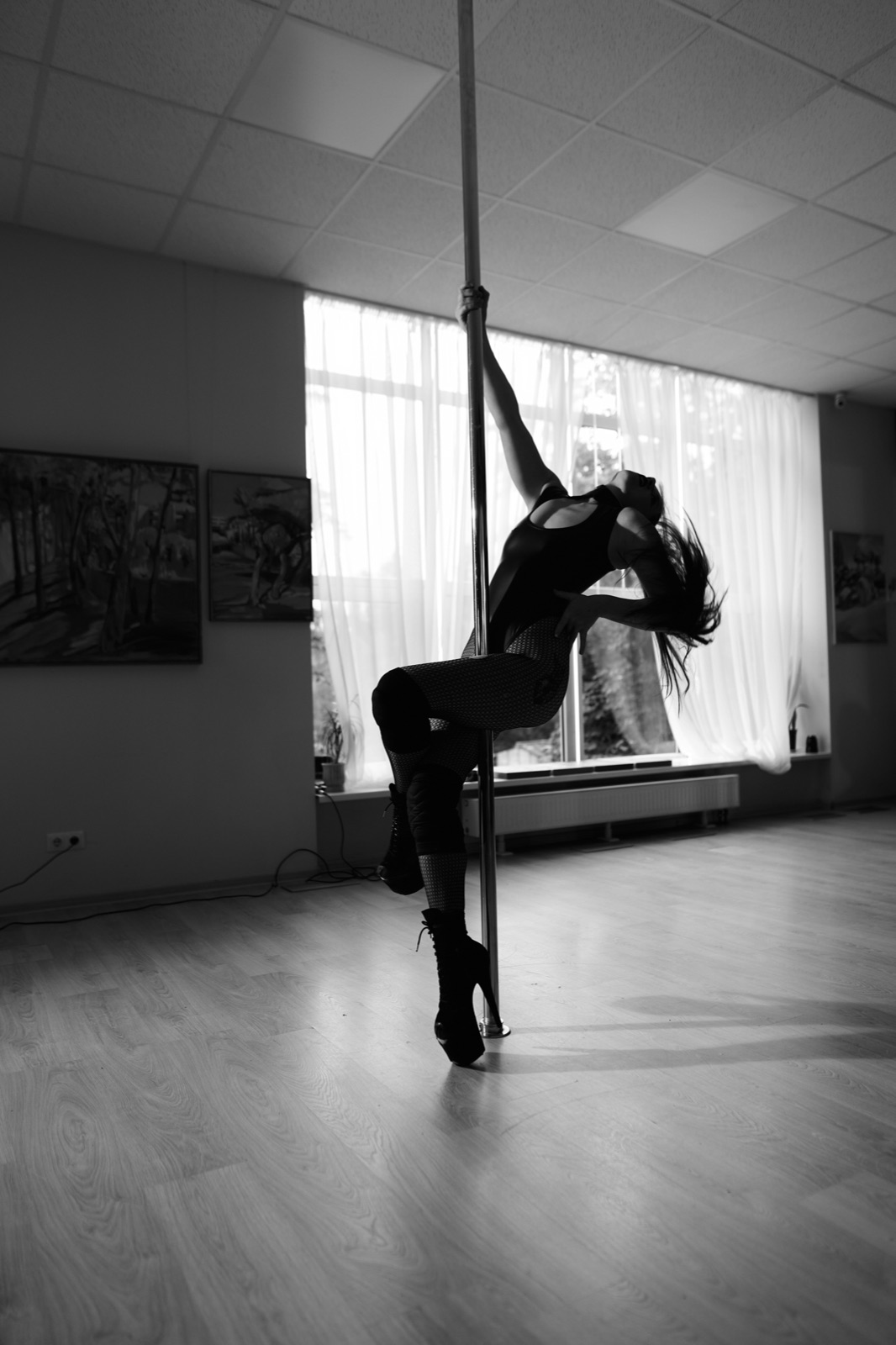 Exotic Pole Dance